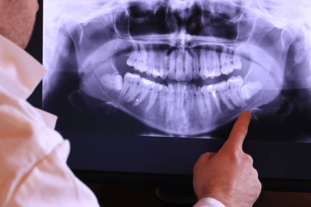 Best Emergency X-Rays and Diagnostics in Leonville, LA