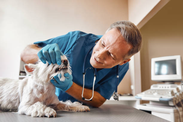 Best Emergency Treatment for Oral Infections in Leonville, LA
